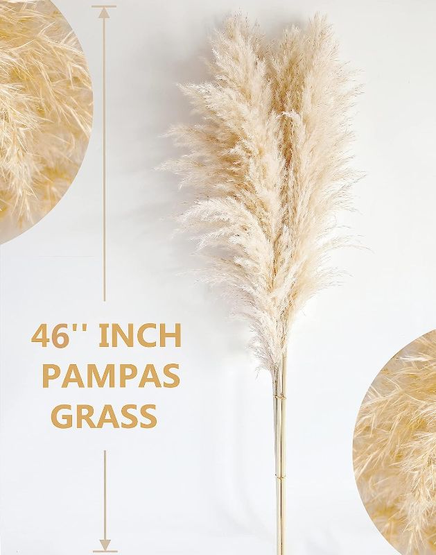 Photo 2 of Bannifll 40" inch 10 Stems Natural Pampas Grass Decor Tall, pompas Grass, Tall Pampas Grass for Wedding, Party, Farmhouse, Boho Home Decor
