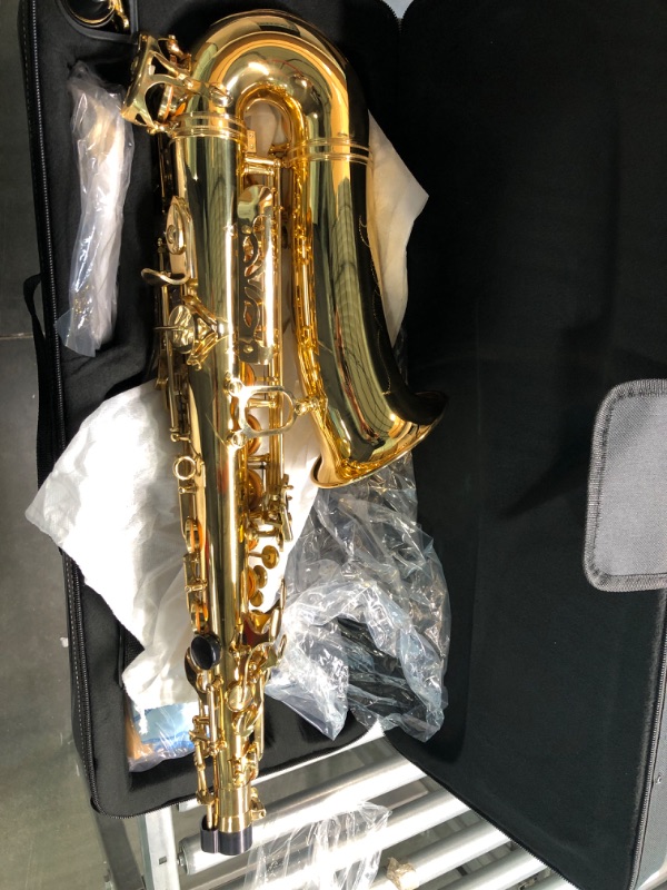 Photo 1 of Eastar Professional Alto Saxophone E Flat Alto Saxophone Eb Saxophone Gold With Cleaning Cloth, Carrying Case, Mouthpiece, Neck Strap, Reeds and Stand, Alto Saxophone Full Kit, AS-? Professional Gold