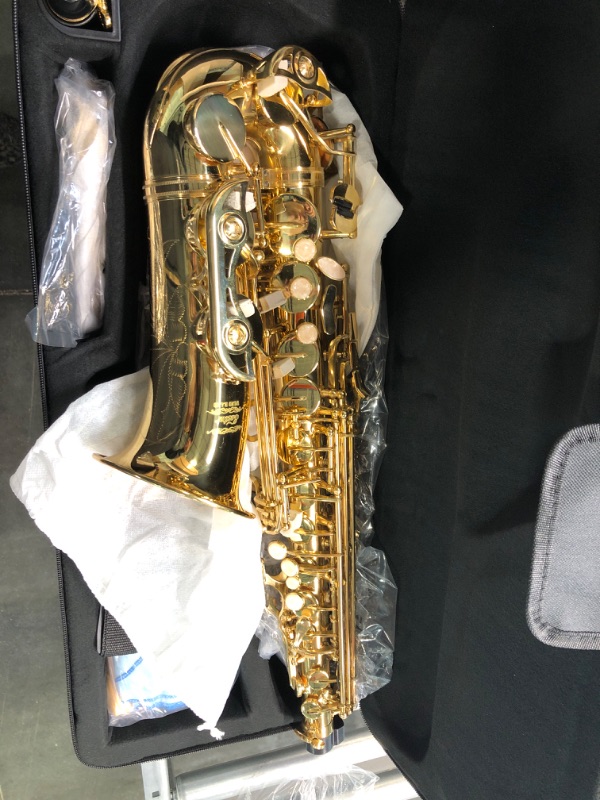 Photo 1 of Eastar Professional Alto Saxophone E Flat Alto Saxophone Eb Saxophone Gold With Cleaning Cloth, Carrying Case, Mouthpiece, Neck Strap, Reeds and Stand, Alto Saxophone Full Kit, AS-? Professional Gold