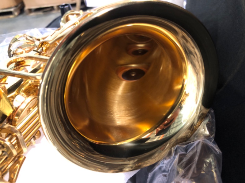 Photo 1 of Eastar Professional Alto Saxophone E Flat Alto Saxophone Eb Saxophone Gold With Cleaning Cloth, Carrying Case, Mouthpiece, Neck Strap, Reeds and Stand, Alto Saxophone Full Kit, AS-? Professional Gold