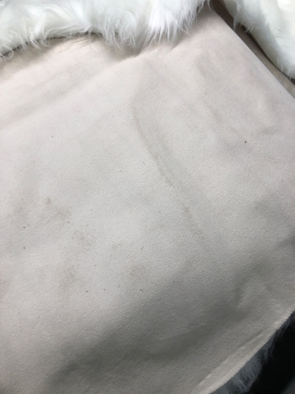 Photo 4 of area rug 