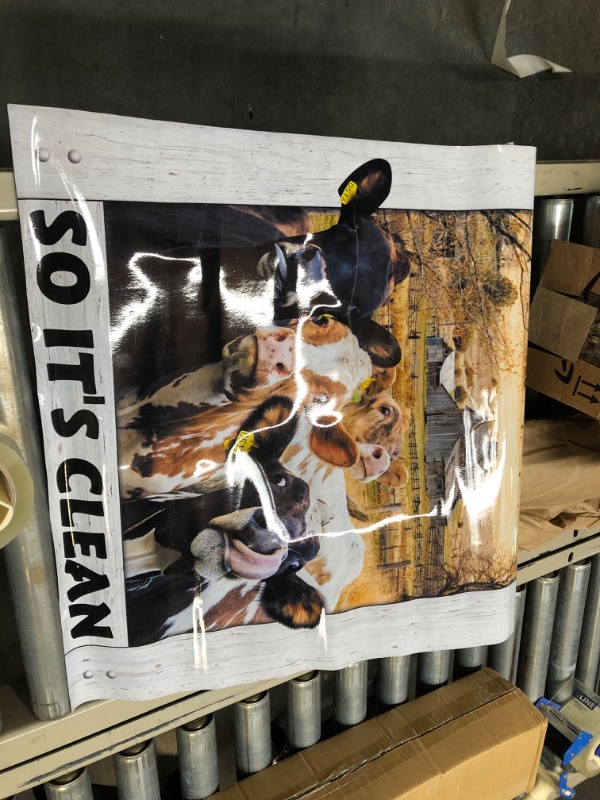 Photo 1 of COW STICKABLE POSTER 