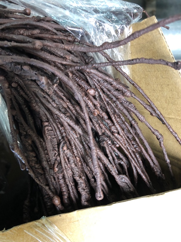 Photo 1 of 20 Pcs 35.4 Inch Curly Willow Branches Lifelike Floral Dried Artificial Twigs Bendable Iron Wires Tree Branches for Decoration Twigs and Branches for Vases Decorative Sticks for Craft (Dark Brown)