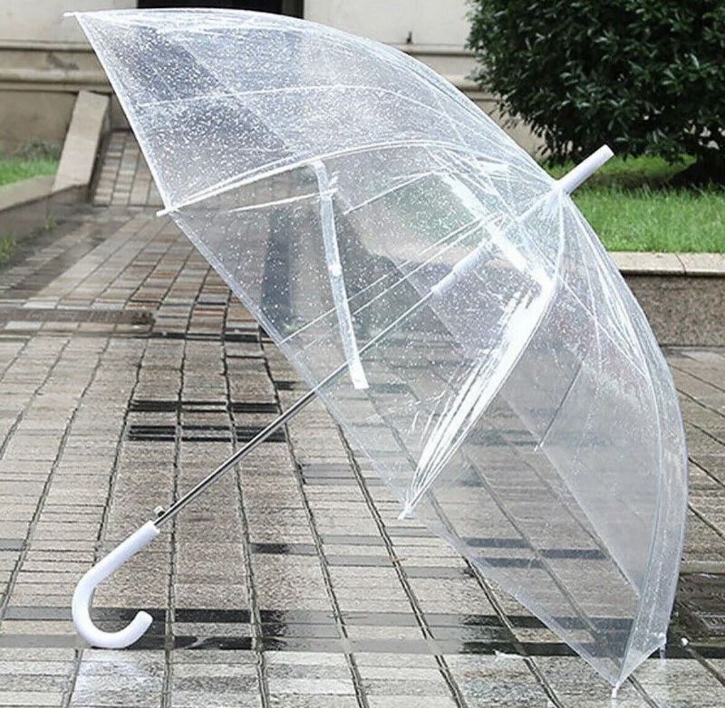 Photo 1 of Clear Umbrella, Lightweight Easy Carrying Suitable For Women And Men, 13 Pack 