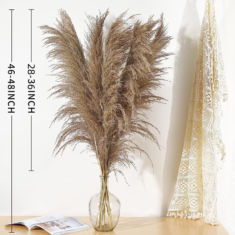 Photo 1 of 9 Stems Pampas Grass Decor Tall 48''/4 FT, Long Fluffy Dried Pompas Grass, Large Pampas Grass for Floor Vase, Rustic Wedding, Baby Shower, Party, Farmhouse, Boho Home Decor 9pcs/48inch