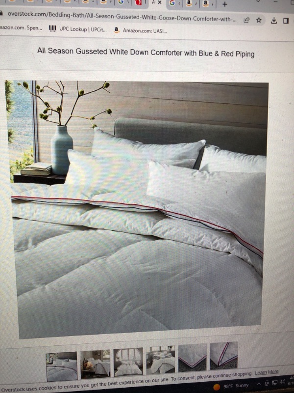 Photo 1 of All Season Gusseted White Down Comforter with Blue & Red Piping - King