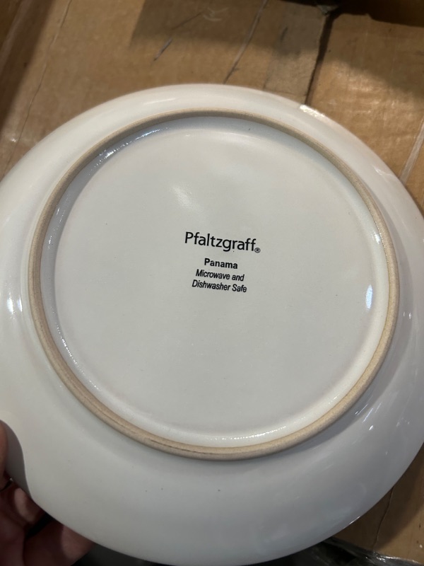 Photo 3 of  Panama Coastal Beige Stoneware Dinnerware Plate *STOCK PHOTO REF. ONLY