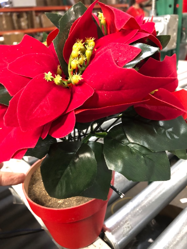 Photo 3 of (USED/MINOR DAMAGE) Yilloog Potted Pre Lit Artificial Poinsettia Plant Arrangement LED Lighted Christmas Faux Poinsettias Flower Red (Red Pot, 6 Pcs)