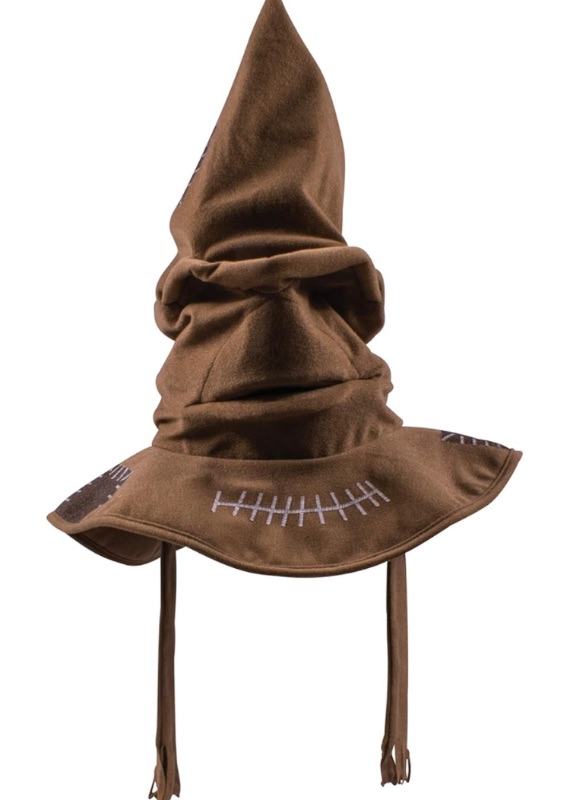 Photo 1 of Disguise Harry Potter Sorting Hat