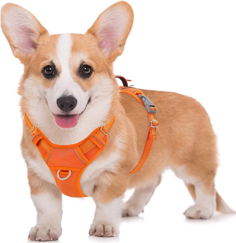 Photo 1 of No Pull Dog Harness Large Step in Reflective Dog Harness with Front Clip and Easy Control Handle ORANGE MEDIUM 