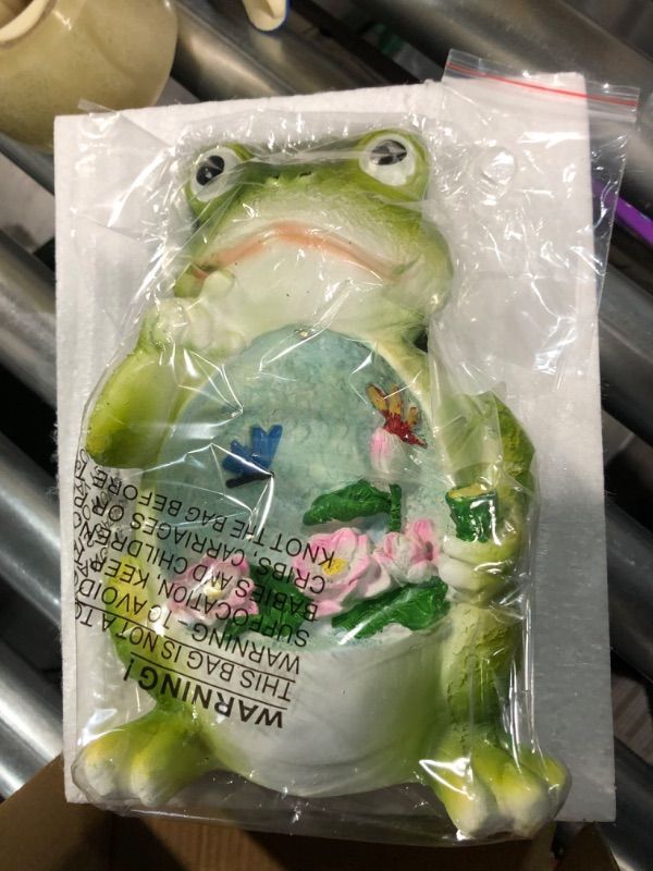 Photo 2 of *STOCK IMG AS REF* FROG WITH FLOWERS 