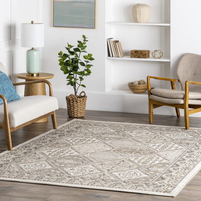 Photo 1 of (READ FULL POST) nuLOOM Becca Traditional Tiled Area Rug - 9x12 Area Rug Transitional Beige/Ivory Rugs for Living Room Bedroom 