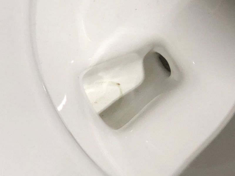 Photo 8 of ***USED - LID MISSING - SEE COMMENTS***
American Standard Champion Tall Height 2-Piece High-Efficiency 1.28 GPF Single Flush Elongated Toilet in White Seat Included