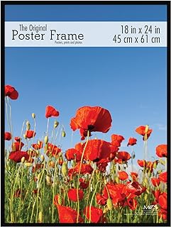 Photo 1 of **USED BUT APPEARS NEW**  MCS Original Poster 18x24 Inch Frame, Black (23834) 