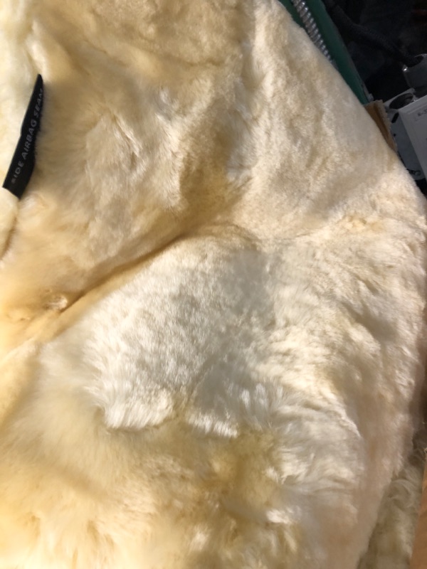 Photo 1 of Eurow Sheepskin Seat Cover, 56 by 23 Inches, Champagne Beige