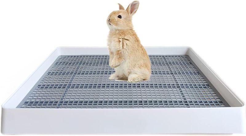 Photo 1 of (READ NOTES) PODOO Rabbit Large Litter Box, Guinea Pig Training Pan Cage with Toilet Tray, Ideal for Rats, Hamsters, Ferret, Bunny Small and Medium Animals, 22x18x3 Inches (Large)