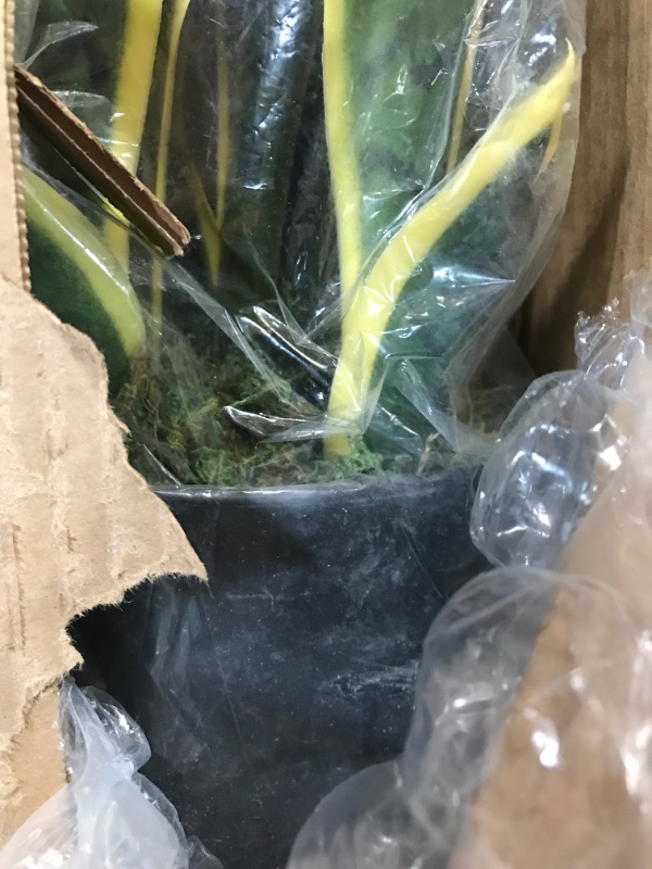 Photo 3 of (READ NOTES) Nearly Natural 26 in. Sansevieria Artificial Silk Plants, Green