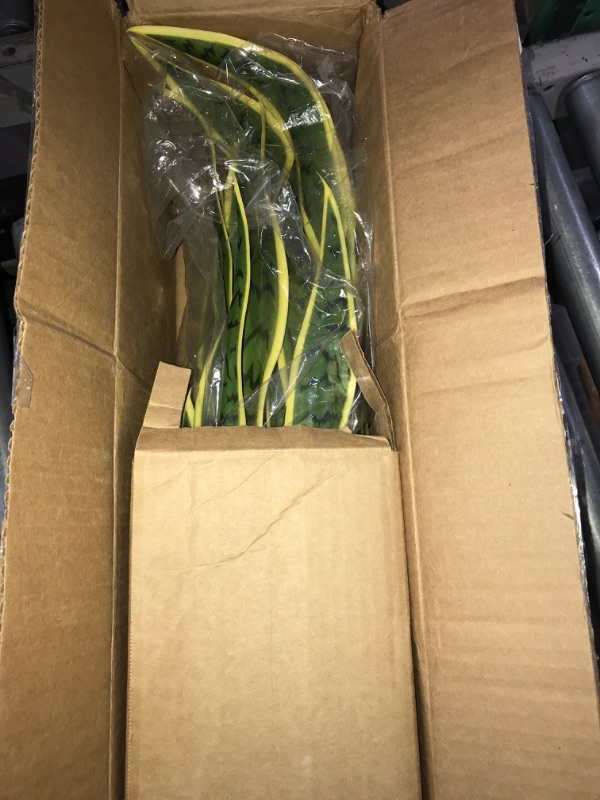 Photo 2 of (READ NOTES) Nearly Natural 26 in. Sansevieria Artificial Silk Plants, Green