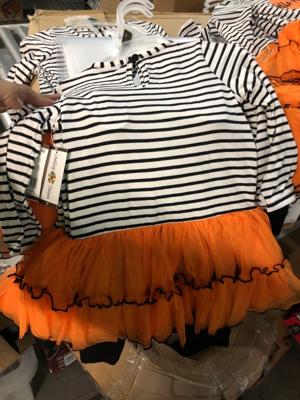 Photo 2 of Counting Daisies Girl's Hello Pumpkin 2-Piece Tunic Tutu & Legging Set - Size 3T