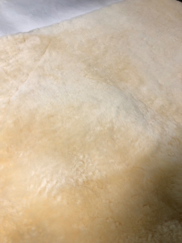 Photo 3 of BEAUTIFUL! Natural Sheepskin for Bed Sores and Skin Irritation | Gisborne 100% Real Medical Sheepskins with Non-Slip Back for Pain Relief and Discomfort, Wool Seat Pad, Natural, 30 in. x 60 in. 30x60 Inch (Pack of 1) Natural