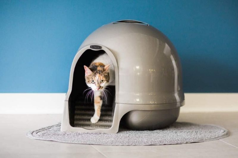 Photo 1 of 
Petmate Booda Clean Step Cat Litter Box Dome