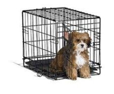 Photo 1 of 18-Inch Single Door iCrate with Fleece Bed