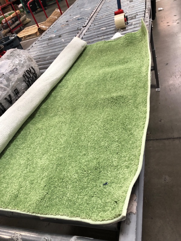 Photo 1 of 4ft x 6ft light green area rug