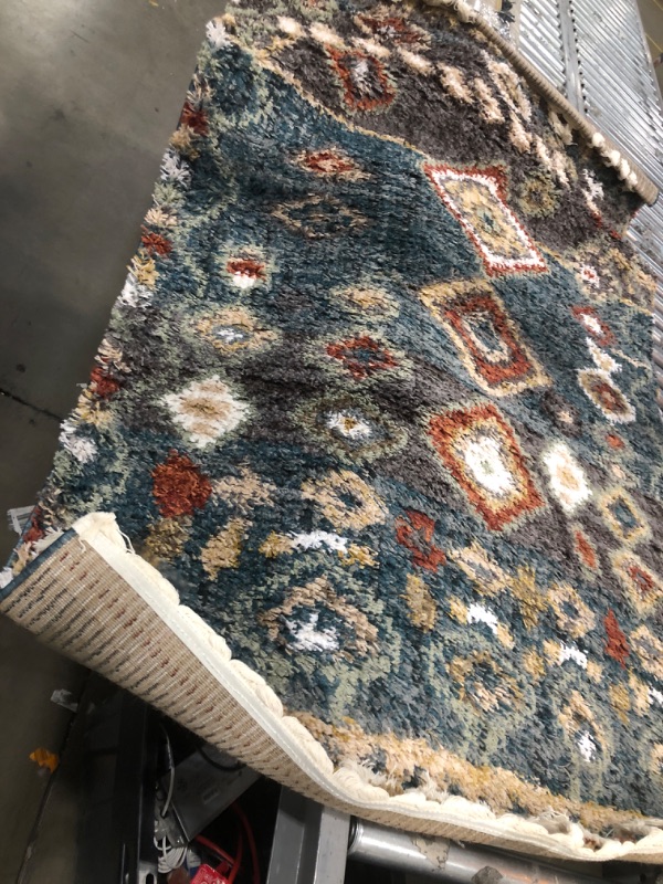 Photo 1 of 4' x 6' Area Rug