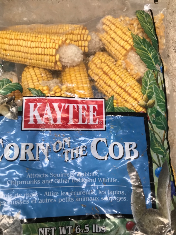 Photo 2 of Kaytee Corn On The Cob Food For Wild Squirrels, Rabbits, Chipmunks and Other Backyard Wildlife, 6.5 Pound 6.5 Pound (Pack of 1)