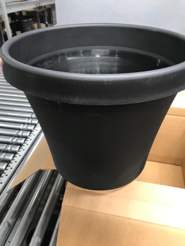 Photo 2 of Bloem Terra Pot 16" Planter - Black