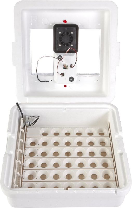 Photo 1 of 
Photo fro Reference Only*Little Giant® Digital Circulated Air Incubator with Automatic Turner | 41 Eggs | Egg Incubator with Fan and Egg Turner