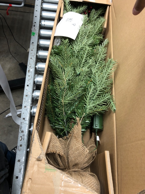 Photo 2 of ***BATTERY OPERATED***
National Tree Company Pre-Lit 'Feel Real' Artificial Mini Christmas Tree, Green, Nordic Spruce, White Lights, Flocked with Pine Cones, Red Berries, Includes Burlap Bag Base, 3 Feet 3 ft