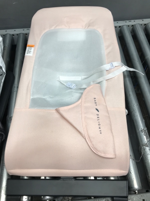 Photo 1 of 
Baby Delight Alpine Deluxe Portable Bouncer | Infant | 0 – 6 Months | Peony Pink
Color:Peony Pink
Configuration:Bouncer