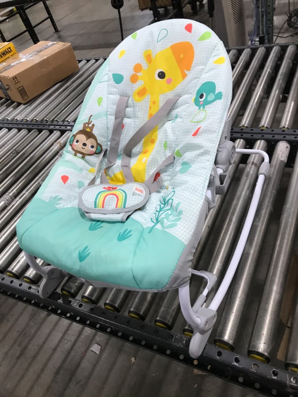 Photo 2 of 
Bright Starts Wild Vibes Infant to Toddler Rocker