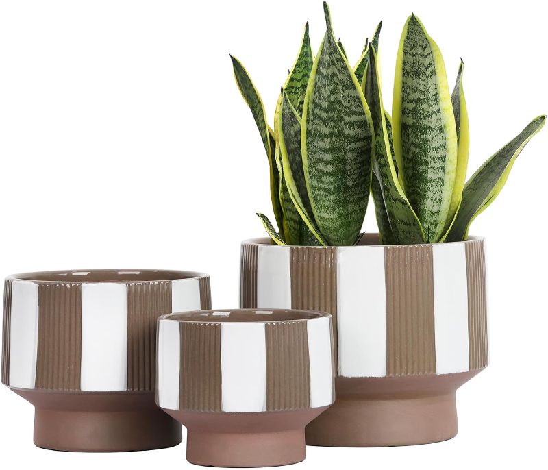 Photo 1 of YQSLYSF Plant Pots 8 Inch + 6.7 Inch + 5 Inch Ceramic Planter for Indoor Plants with Drainage Hole, Succulent Orchid Flower Pot 