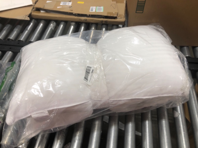 Photo 1 of 2 standard pillows 