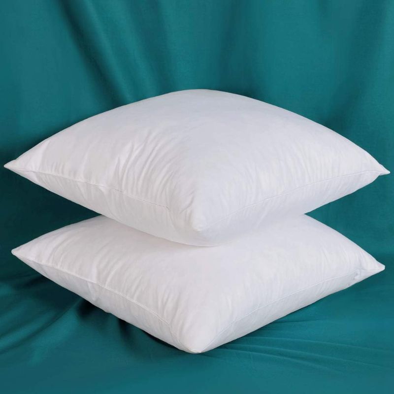 Photo 1 of 18 x 18 INCH PILLOW INSERTS 2 PCS 