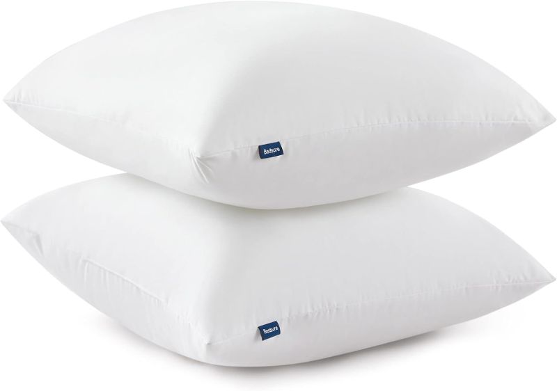 Photo 1 of 20 X 26 INCH BEDSURE PILLOW INSERTS 2 PCS 