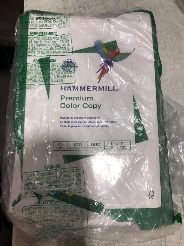 Photo 1 of Hammerfall - Premium - Color Copy 11x17 