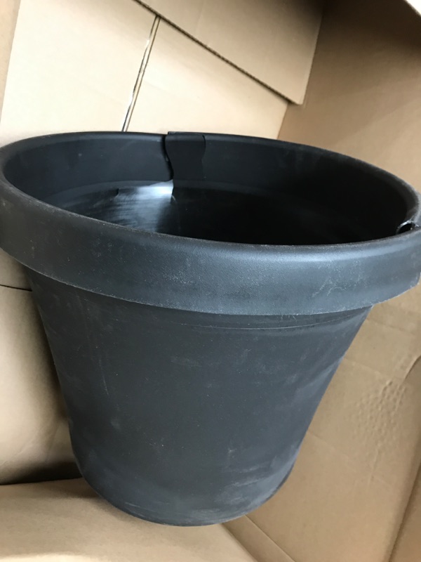 Photo 2 of Bloem Terra Pot 16" Planter - Black