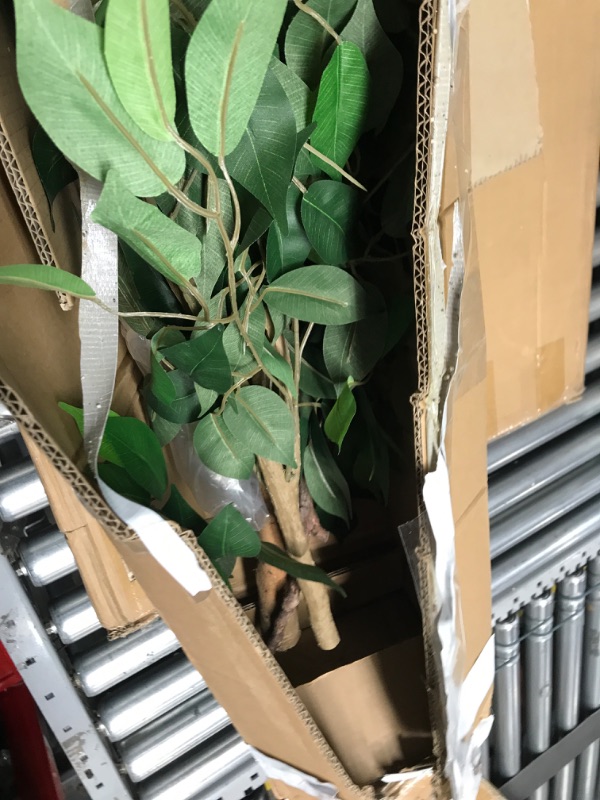 Photo 1 of Kazeila 7 Feet Artificial Ficus Tree - Fake Silk Plants with Lifelike Leaves and Natural Wood Trunk - Faux Potted Tree for Indoor Home Decor 1 7'