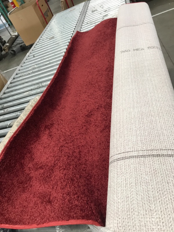 Photo 2 of ***USED***LARGE AREA RUG 6'X9' red