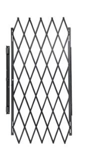 Photo 1 of 48-in x 80-in Black Steel Surface Mount Security Door
