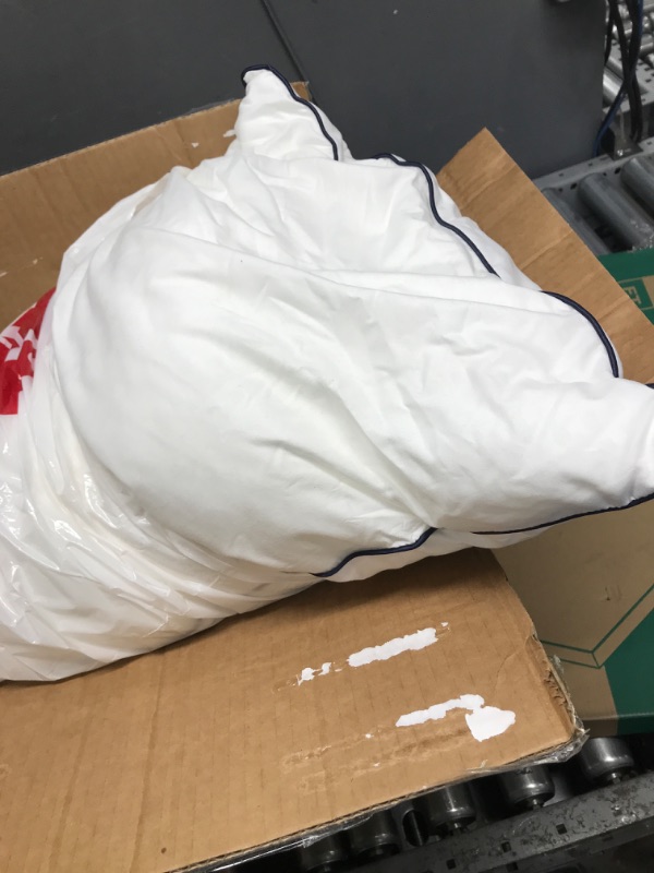 Photo 1 of 2 pack of pillows