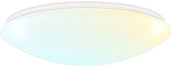 Photo 1 of Luxrite 19 Inch LED Flush Mount Ceiling Light, 24/28/32W Selectable, 3 CCT Color Selectable 3000K | 4000K | 5000K, CRI 90, 1680/1960/2240 Lumens, Dimmable Ceiling Light Fixture, Damp Rated, ETL Listed