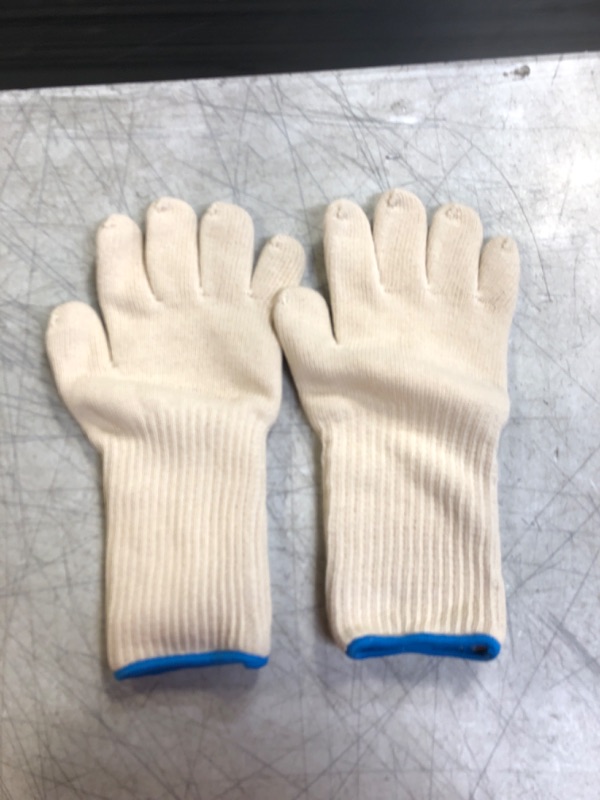 Photo 1 of GARDEN GLOVES M/L