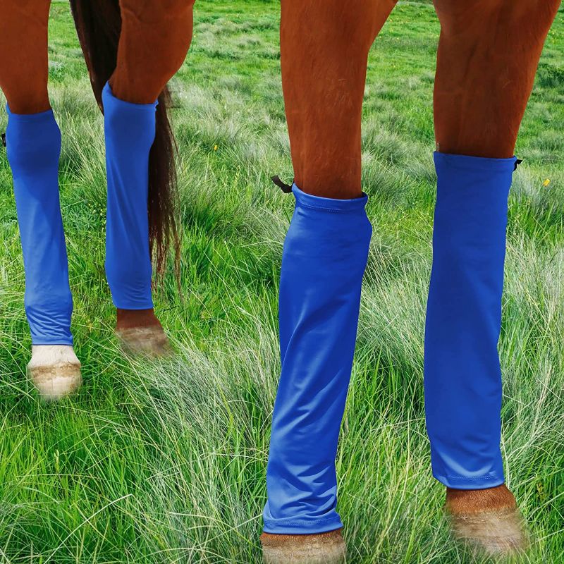 Photo 1 of Harrison Howard Loose Fitting Horse Leg Socks Horse Socks Comfortable and Easy to Wear Set of 4
