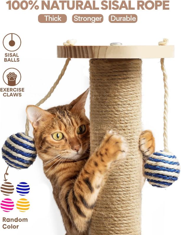 Photo 1 of  Pets Cat Scratching Posts for Indoor Cats Scratch Post 4 in 1 Design Kitten Scratcher with Dangling Ball Cat Scratching Post for Large Cats