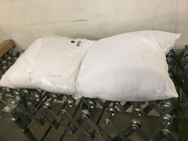 Photo 1 of 2 WHITE PILLOWS