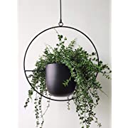 Photo 1 of  Boho Black Metal Plant Hanger,Metal Wall and Ceiling Hanging Planter, Modern Planter, Mid Century Flower Pot Plant Holder, Minimalist Planter for Indoor Outdoor Home Decor